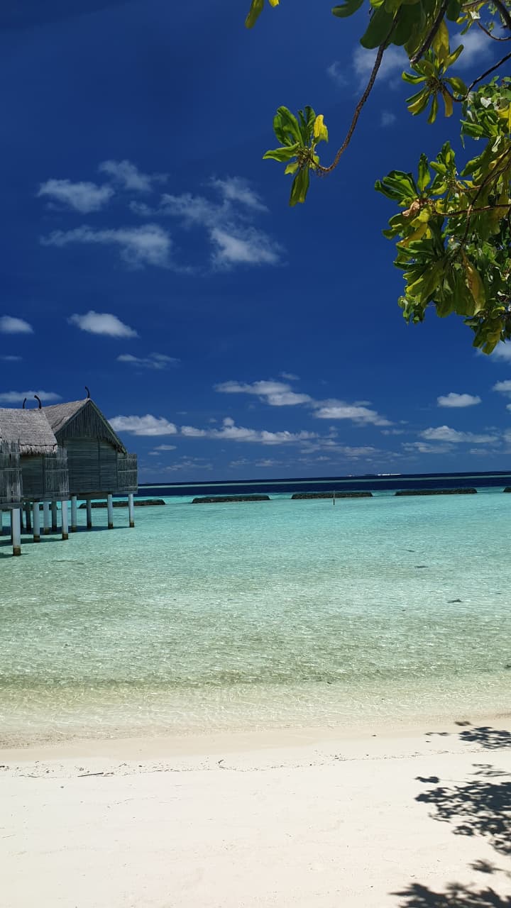 Maldives